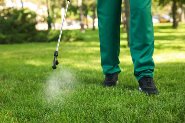 Best Cockroach Control Services  in Laporte, CO